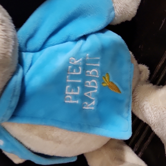Peter Rabbit 🥕stuffed animal - Picture 3 of 3